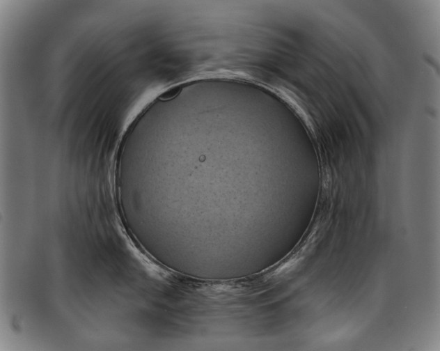 X0000097831054200804041417