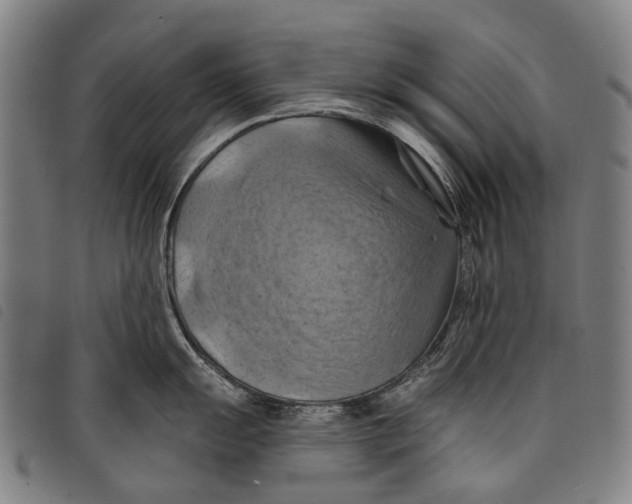 X0000097831055200804041417