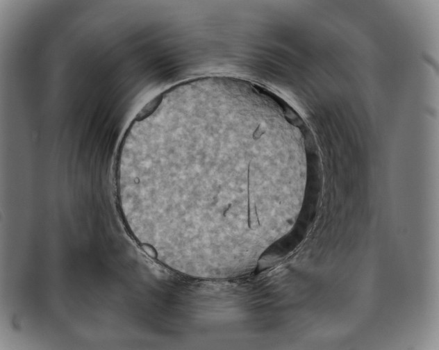 X0000097831056200804041417