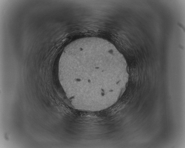 X0000097831057200804041416