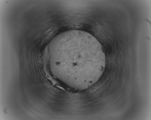 X0000097831058200804041416