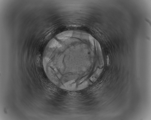 X0000097831059200804041416