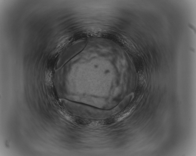 X0000097831060200804041416