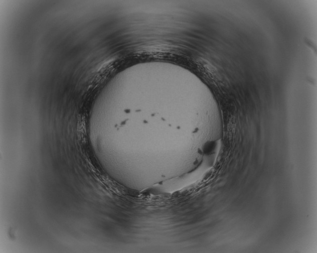 X0000097831062200804041416