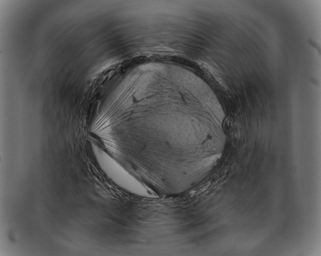 X0000097831063200804041416