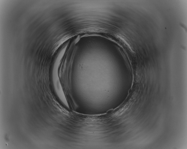 X0000097831065200804041416