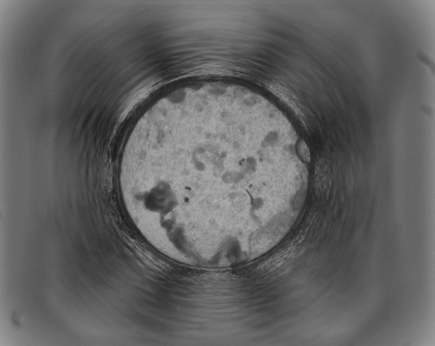 X0000097831067200804041416