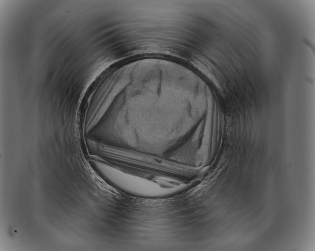 X0000097831068200804041416