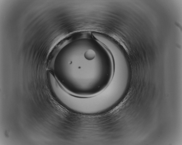 X0000097831069200804041416