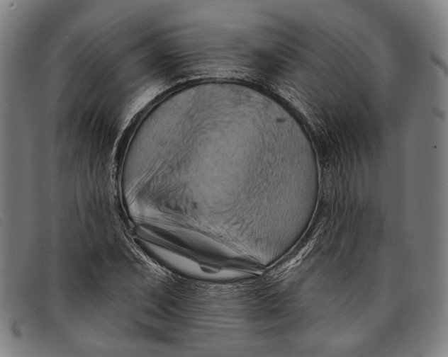 X0000097831071200804041416