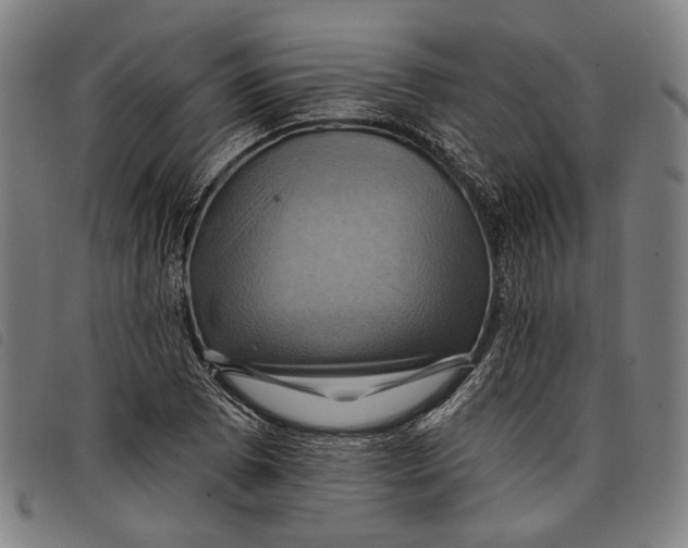 X0000097831073200804041416