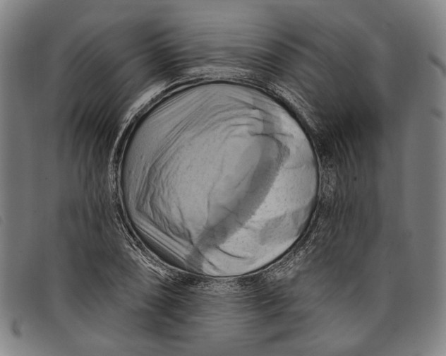 X0000097831074200804041416