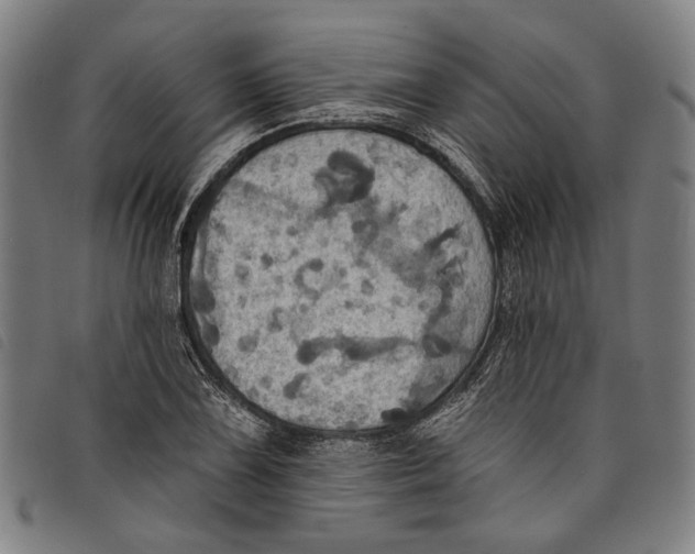 X0000097831075200804041416