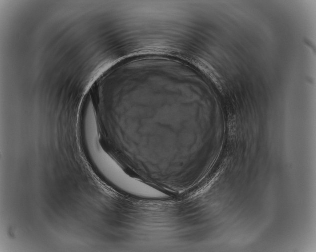 X0000097831077200804041416