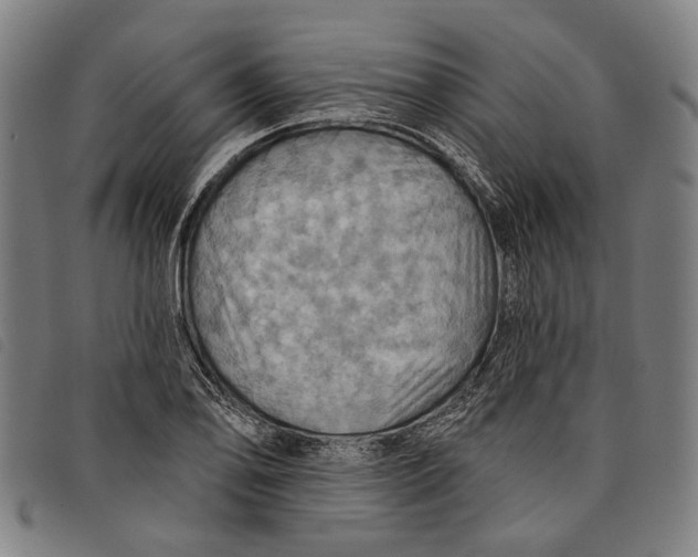 X0000097831078200804041416