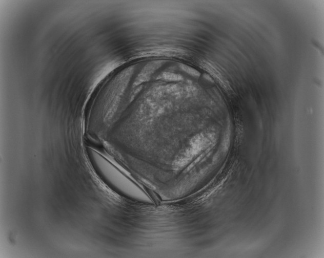 X0000097831079200804041416