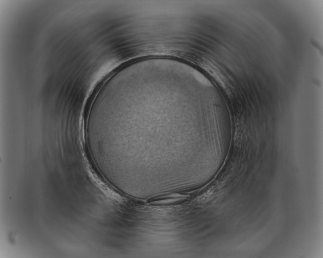 X0000097831080200804041416