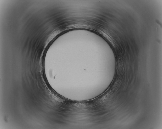 X0000097831082200804041416