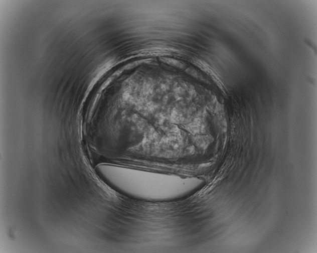 X0000097831083200804041416