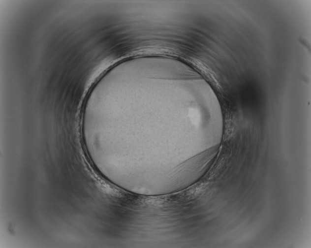 X0000097831086200804041416