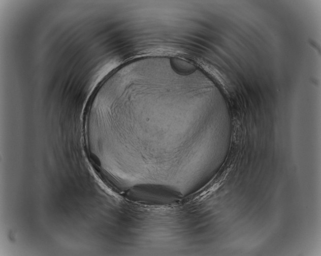 X0000097831087200804041416