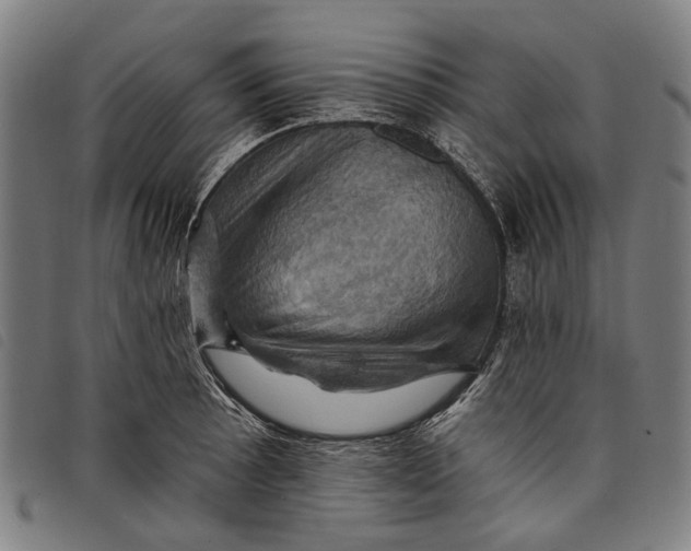 X0000097831089200804041416