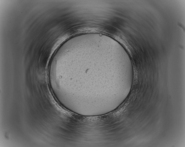 X0000097831090200804041416