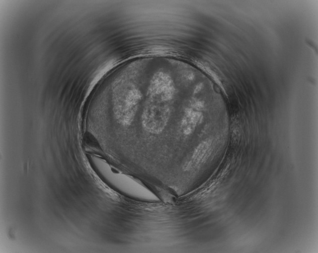 X0000097831091200804041416