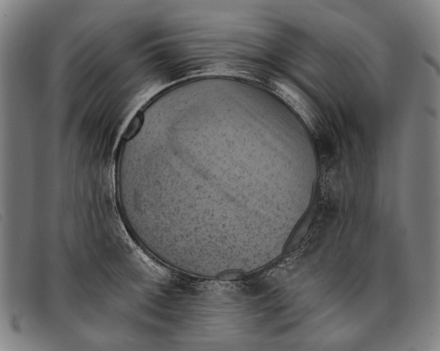 X0000097831092200804041416