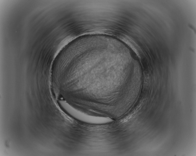 X0000097831093200804041416