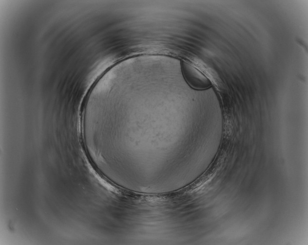 X0000097831095200804041416