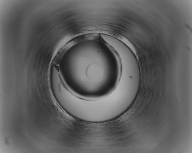 X0000097831096200804041416