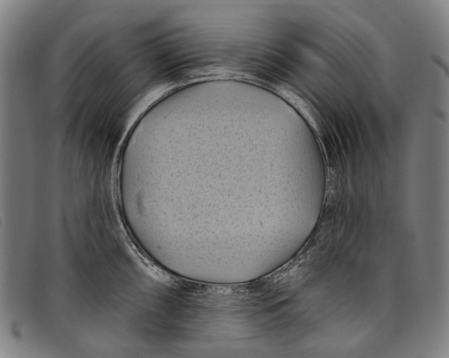 X0000097831098200804041416