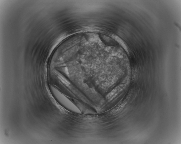 X0000097831099200804041416