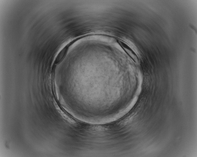 X0000097831100200804041416