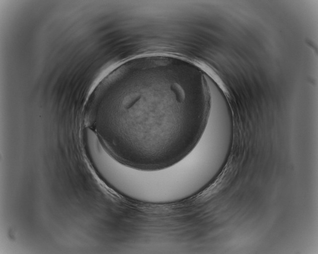 X0000097831101200804041416