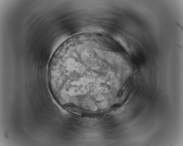 X0000097831103200804041416