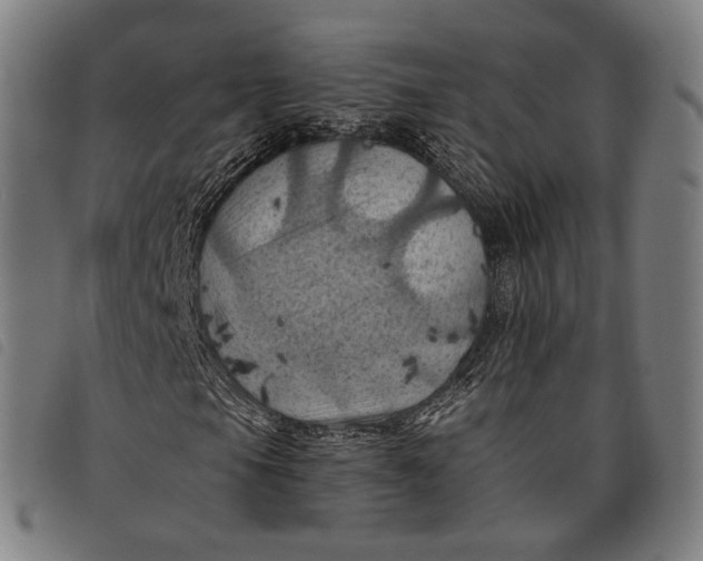 X0000097831105200804041415