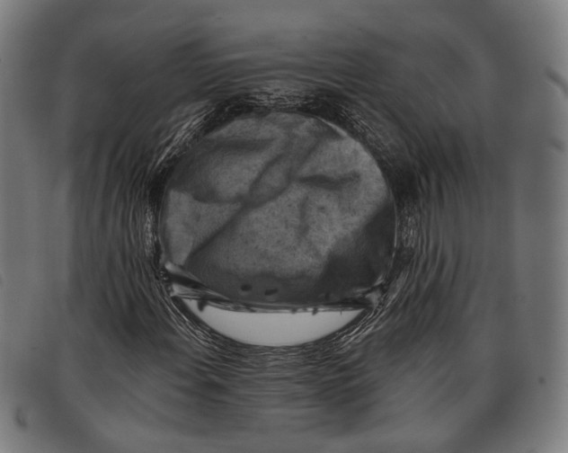 X0000097831108200804041415