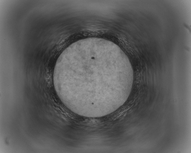 X0000097831109200804041415