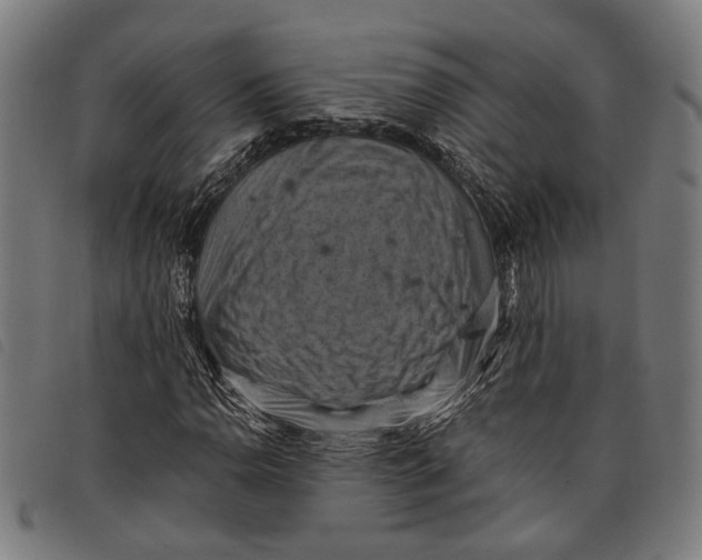 X0000097831110200804041415