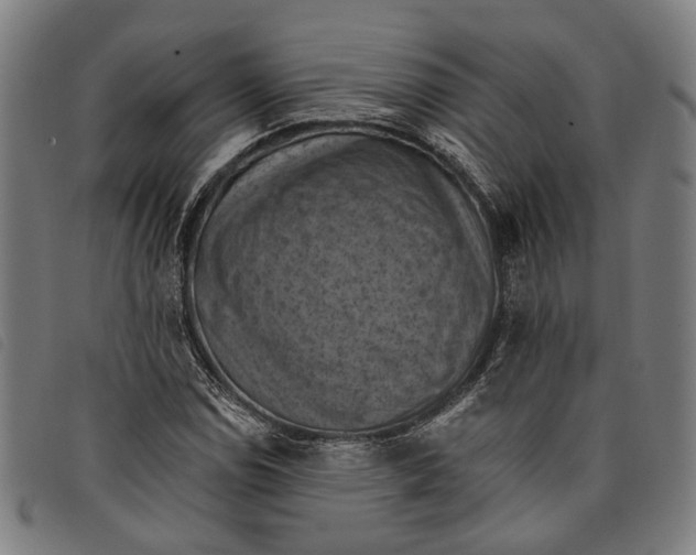 X0000097831114200804041415