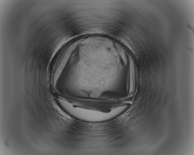 X0000097831116200804041415