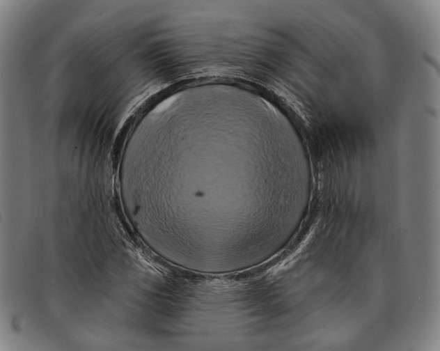 X0000097831117200804041415