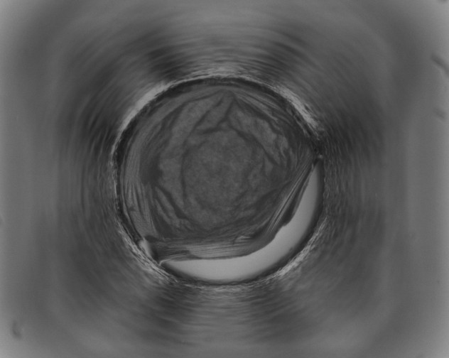 X0000097831118200804041415