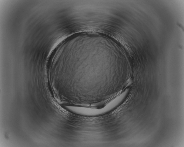 X0000097831120200804041415