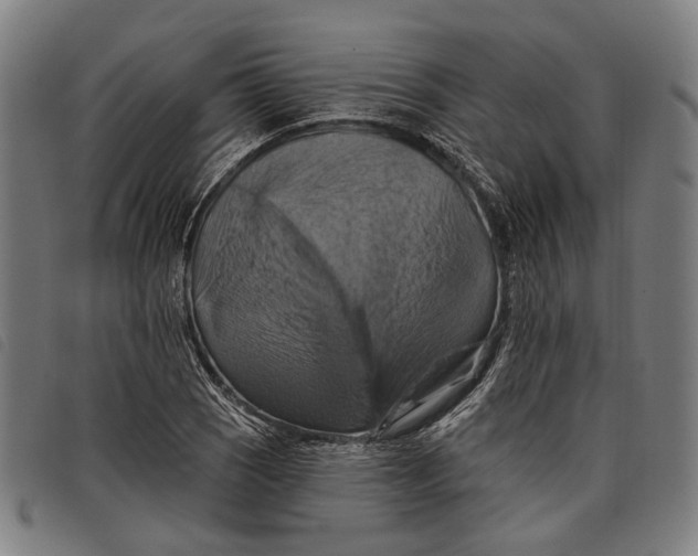 X0000097831121200804041415