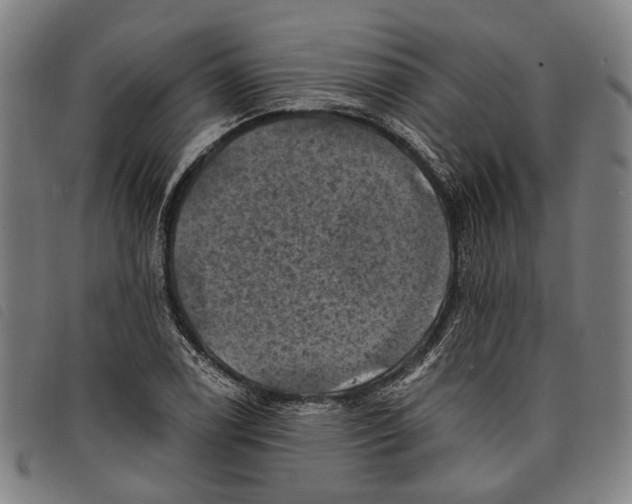 X0000097831122200804041415