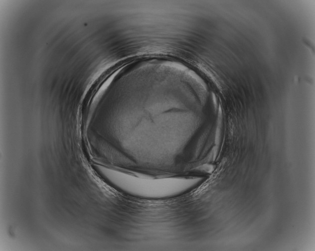 X0000097831124200804041415