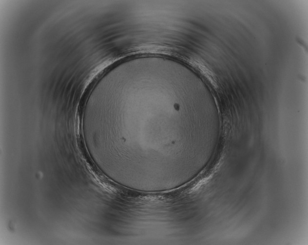 X0000097831125200804041415